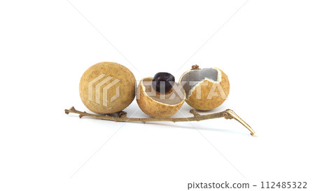 Longan fruits on branch isolated on white background Longan fruits on branch isolated on white background 112485322