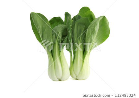 Brassica rapa chinensis, called bok choy isolated on white Brassica rapa chinensis, called bok choy isolated on white 112485324