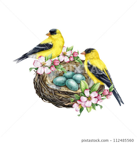 Birds on the nest vintage style decor. Watercolor illustration. Hand drawn goldfinch birds on the nest with eggs and garden flowers. Springtime decoration element. White background 112485560