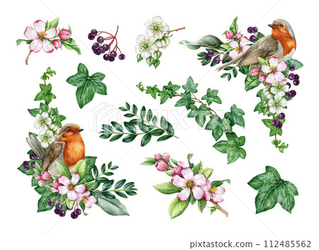 Springtime seasonal floral decor set with birds and flowers. Watercolor illustration. Hand drawn garden robin bird, flowers, elderberry, ivy, leaves element decoration set. Spring painted collection. 112485562