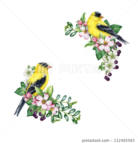 Vintage style spring decor set with bird and flowers. Watercolor illustration. Hand drawn goldfinch bird, garden flowers, elderberry, ivy leaves decoration set. Spring season cozy painted collection Vintage style spring decor set with bird and flowers. Watercolor illustration. Hand drawn goldfinch bird, garden flowers, elderberry, ivy leaves decoration set. Spring season cozy painted collection 112485565