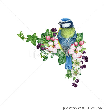 Springtime vintage style decoration element with bird and flowers. Watercolor illustration. Hand drawn blue tit bird with garden flowers, elderberry, ivy leaves. Spring season cozy decor isolated Springtime vintage style decoration element with bird and flowers. Watercolor illustration. Hand drawn blue tit bird with garden flowers, elderberry, ivy leaves. Spring season cozy decor isolated 112485566