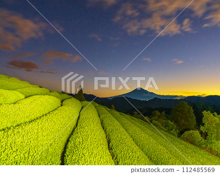 黎明時分,燈火通明的茶田和富士山 黎明時分,燈火通明的茶田和富士山 112485569