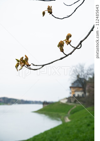 A spring blooming twig extends over water, blending with the sky near river 112485643