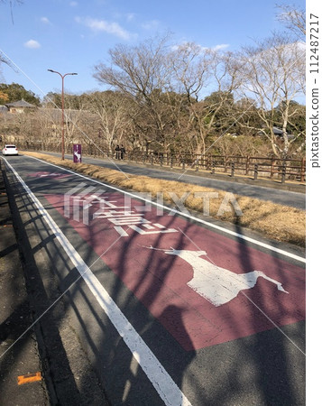 Be careful of deer on Nara roads! 112487217
