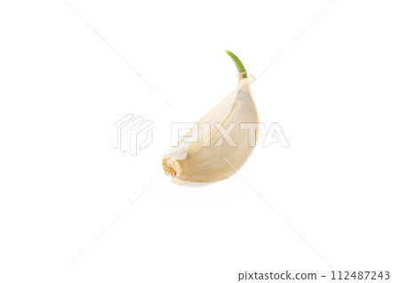 大蒜發芽了 大蒜發芽了 112487243