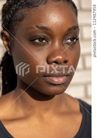 Sunlit African Woman with Braided Hair Sunlit African Woman with Braided Hair 112487958