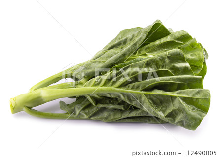 chinese broccoli isolent on a white background 112490005