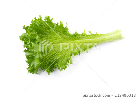 Fresh Frillice Iceberg Lettuce isolated on a transparent background 112490318