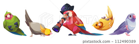 Cute birds set isolated on white background 112490389