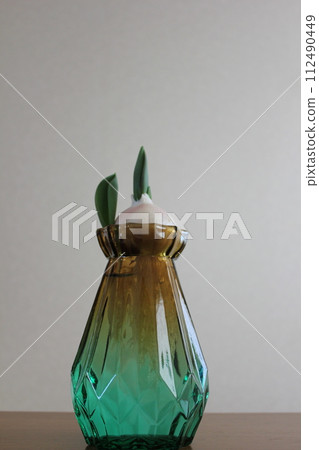 Hydroponics of tulips ◦. .. .. Hydroponics of tulips ○ ◦. .. .. Hydroponics of tulips ◦. .. .. Hydroponics of tulips ○ ◦. .. .. 112490449