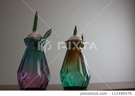Hydroponics of tulips ◦. .. .. Hydroponics of tulips ○ ◦. .. .. Hydroponics of tulips ◦. .. .. Hydroponics of tulips ○ ◦. .. .. 112490476