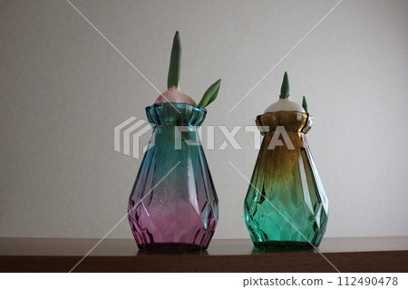 Hydroponics of tulips ◦. .. .. Hydroponics of tulips ○ ◦. .. .. Hydroponics of tulips ◦. .. .. Hydroponics of tulips ○ ◦. .. .. 112490478