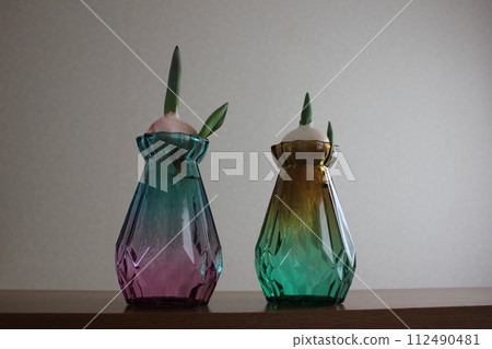 Hydroponics of tulips ◦. .. .. Hydroponics of tulips ○ ◦. .. .. Hydroponics of tulips ◦. .. .. Hydroponics of tulips ○ ◦. .. .. 112490481