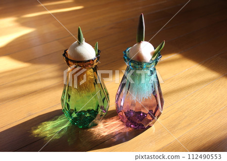 Hydroponics of tulips ◦. .. .. Hydroponics of tulips ○ ◦. .. .. Hydroponics of tulips ◦. .. .. Hydroponics of tulips ○ ◦. .. .. 112490553