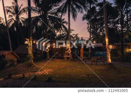 Palm trees with light bulbs at night on the island 112491005