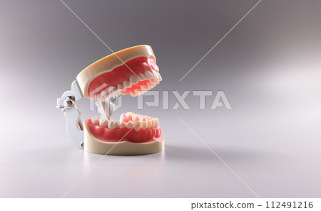 Artificial plastic model of human jaw on gray background closeup 112491216