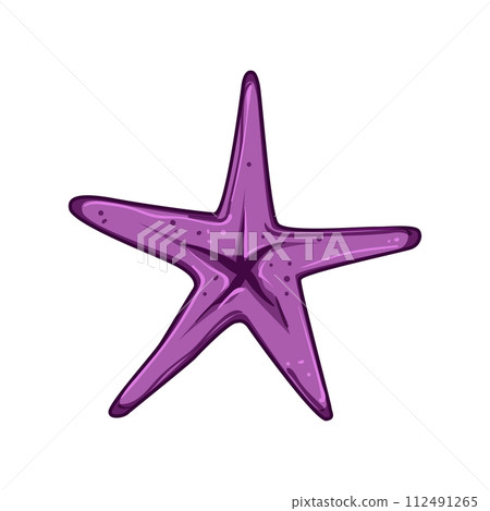 shell sea star cartoon vector illustration 112491265