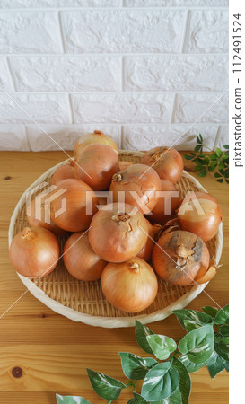 onion onion 112491524