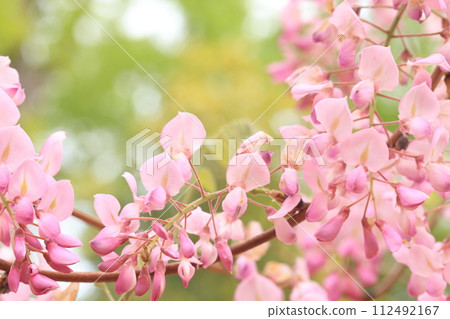 Fuji 584 Fuji 584 112492167