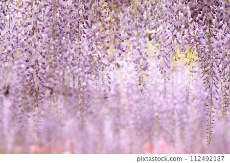 Fuji 477 Fuji 477 112492187