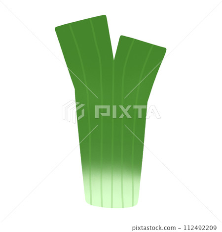 Japanese Bunching Onion Cartoon illustration Green Vegetable Cartoon Japanese Bunching Onion Cartoon illustration Green Vegetable Cartoon 112492209