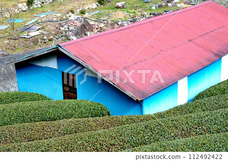 Tea factory with red roof Tea factory with red roof 112492422