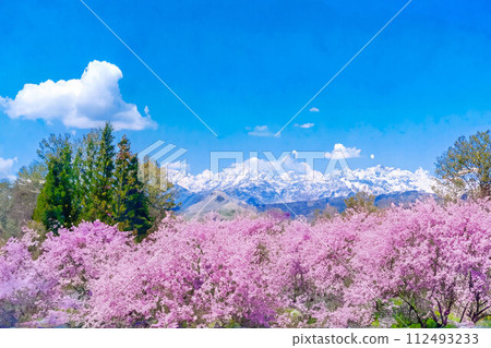 【春天素材】櫻花、北阿爾卑斯山、藍天、水彩風格【長野縣】 【春天素材】櫻花、北阿爾卑斯山、藍天、水彩風格【長野縣】 112493233