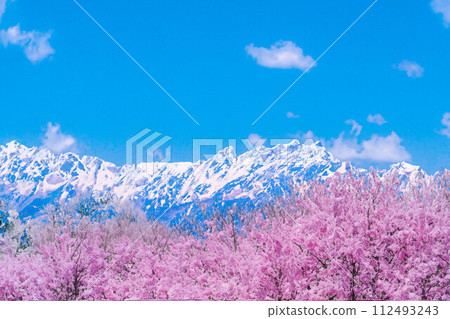 【春天素材】櫻花、北阿爾卑斯山、藍天、水彩風格【長野縣】 【春天素材】櫻花、北阿爾卑斯山、藍天、水彩風格【長野縣】 112493243