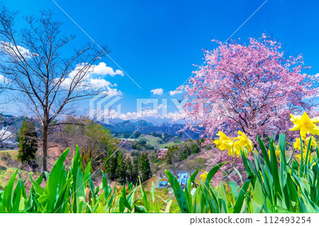 【春天素材】櫻花、北阿爾卑斯山、藍天、水彩風格【長野縣】 【春天素材】櫻花、北阿爾卑斯山、藍天、水彩風格【長野縣】 112493254
