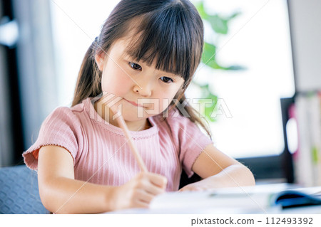 Girl studying 112493392