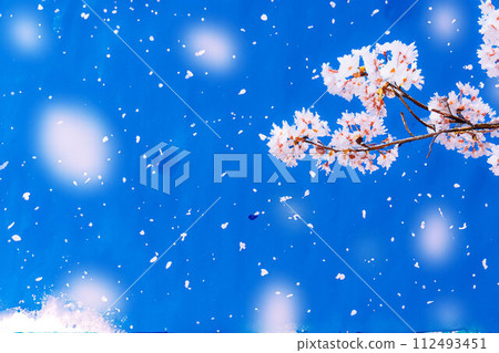 [櫻花暴風雪素材]櫻花、藍天和櫻花暴風雪圖像/水彩風格[長野縣] 112493451