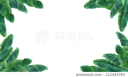 Watercolor rectangle frame with banana tree leaves. Hand drawn botanical illustration isolated on white background. For clip art cards invitation label package 112493763