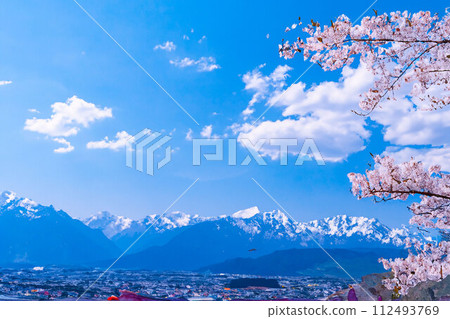 [Spring material] Cherry blossoms, blue sky, Northern Alps, watercolor style [Nagano Prefecture] 112493769