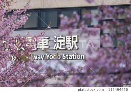 Fushimi, Kyoto, Keihan Railway Yodo Station and Kawazu Cherry Blossoms 112494456