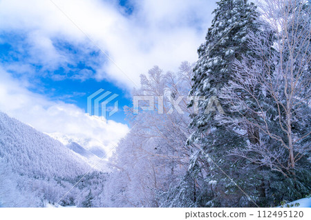 [白霜的材質]白與藍、白霜與藍天的世界[長野縣] 112495120