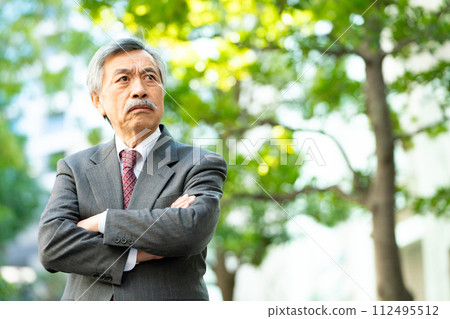 Senior male business arms crossed Senior male business arms crossed 112495512