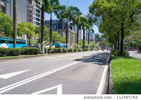 清新的綠色道路城市綠樹成蔭的景觀 112495768