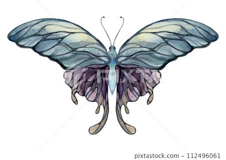Hand drawn watercolor illustration butterfly fairy wings gem crystal insect moth. Amethyst opal moonstone fluorite pearl. Single object isolated white background. Design print, shop, wedding, birthday 112496061
