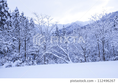 Landscape of a snowy mountain lined with snow-covered trees, Mt. Hyono, Tottori Prefecture 112496267