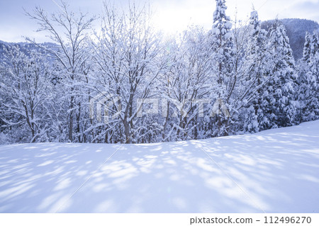 Landscape of a snowy mountain lined with snow-covered trees, Mt. Hyono, Tottori Prefecture 112496270