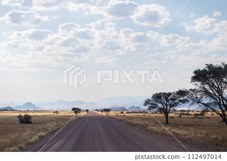 Namibian Desert Landscape Namibian Desert Landscape 112497014