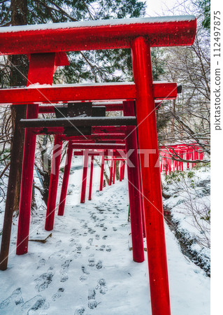 Manzo Inari Shrine in winter, vermillion torii gate Manzo Inari Shrine in winter, vermillion torii gate 112497875