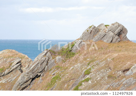 沿海岸對角突出的地層 沿海岸對角突出的地層 112497926