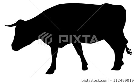 Walking cow silhouette isolated on white background. Cattle clipart. Walking cow silhouette isolated on white background. Cattle clipart. 112499019