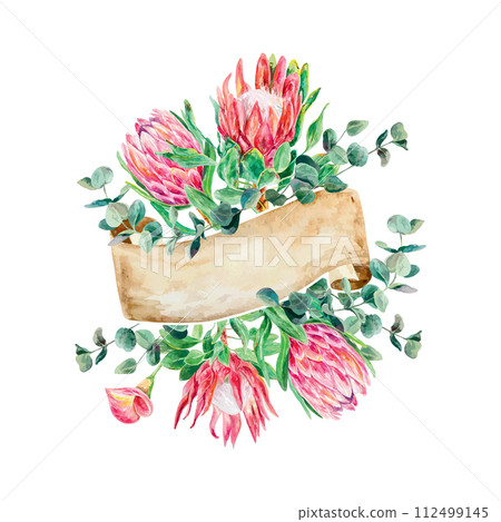 Protea watercolor, eucalyptus branch, banner for text. Vector illustration of pink flowers. Cards, wedding invitations, banners, labels, flyers. Protea watercolor, eucalyptus branch, banner for text. Vector illustration of pink flowers. Cards, wedding invitations, banners, labels, flyers. 112499145