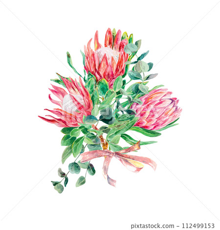 Protea watercolor. Vector illustration of a bouquet of pink flowers. Design element for cards, wedding invitations, banners, covers, labels, posters. 112499153