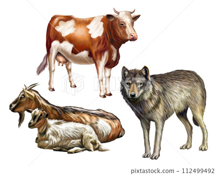 Wildlife II Wildlife II 112499492