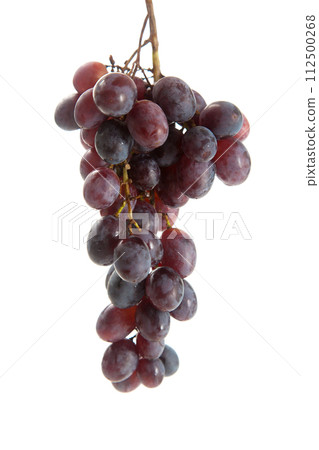 Bunch of organic black grapes isolated on white background. Bunch of organic black grapes isolated on white background. 112500268