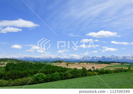[Hokkaido] Shinei Hill in May 112500399